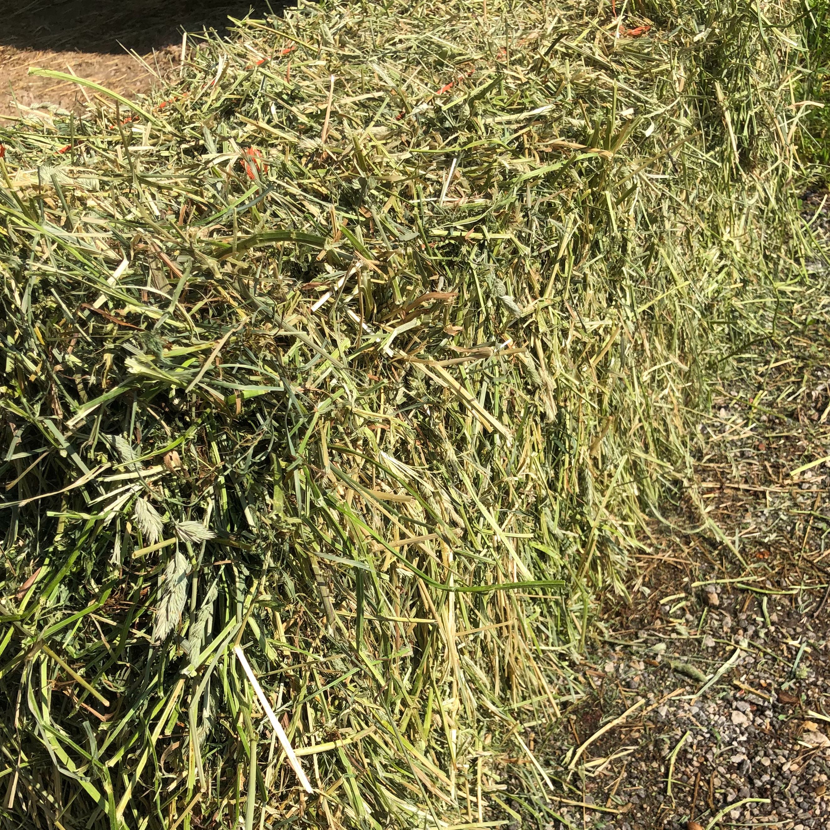 Hay For Sale In Illinois Hay Map