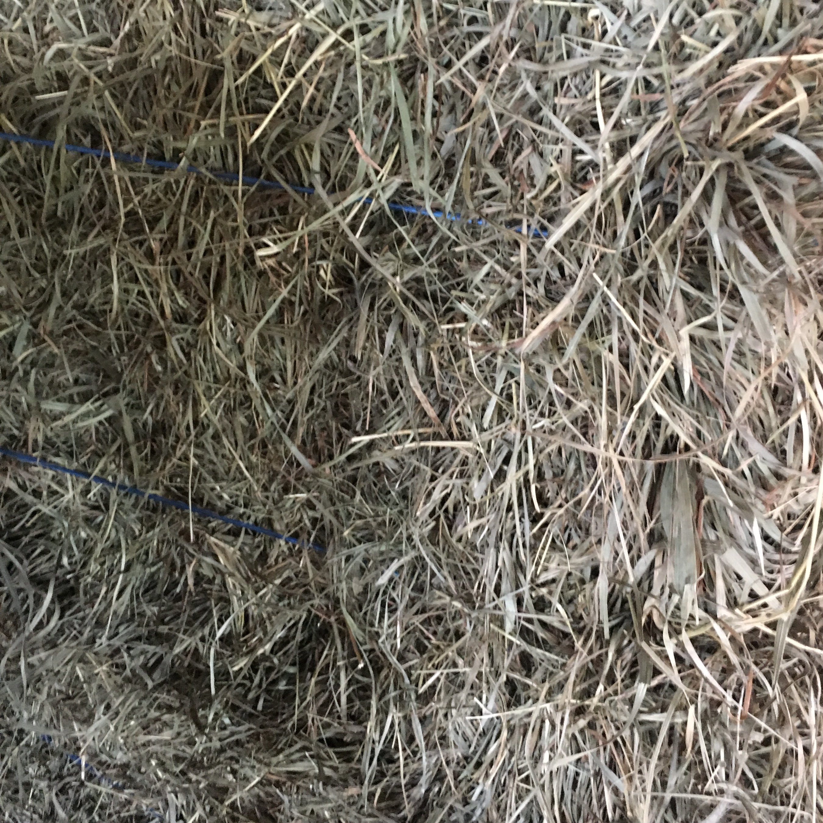 Hay For Sale In Pennsylvania Hay Map