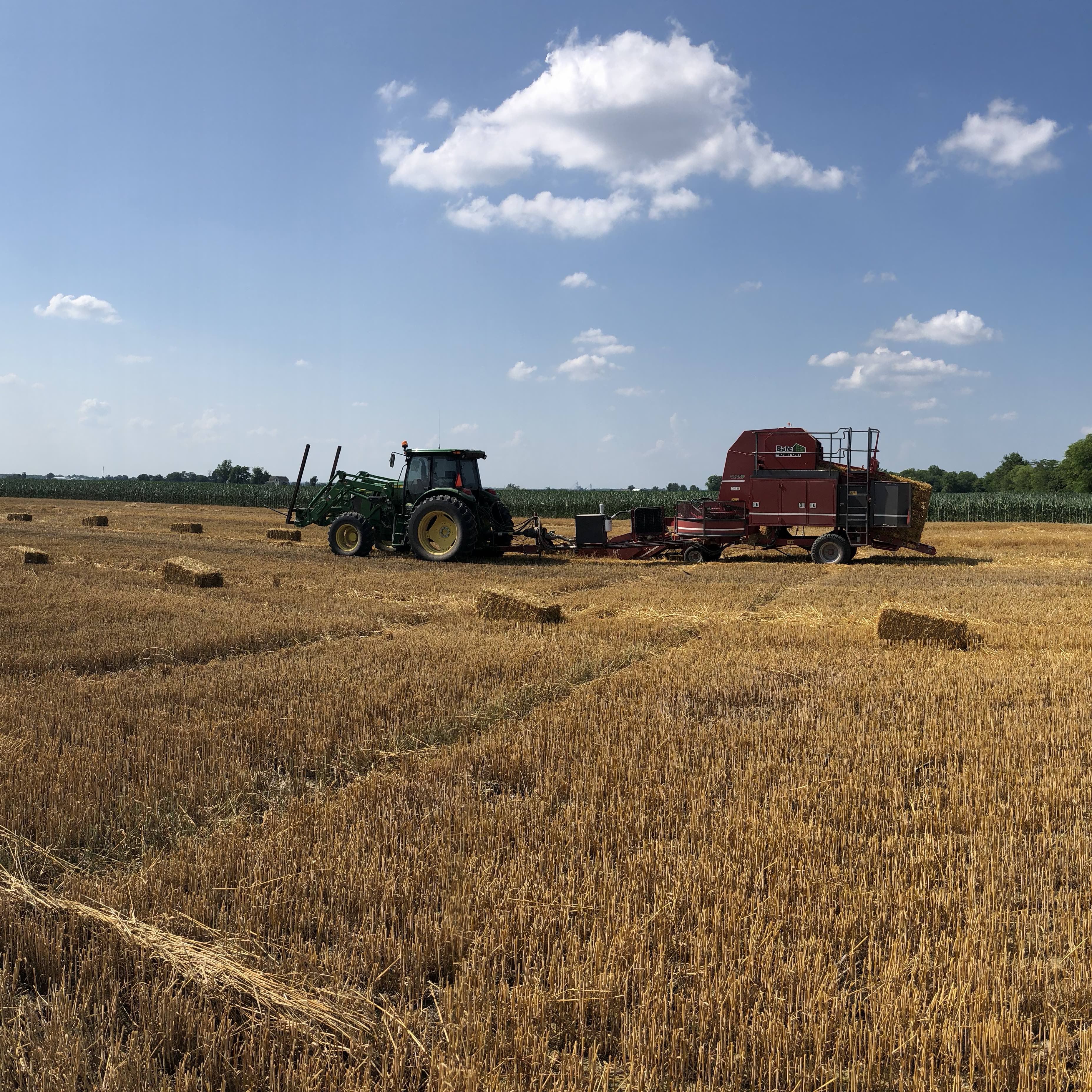 Hay For Sale In Illinois Hay Map
