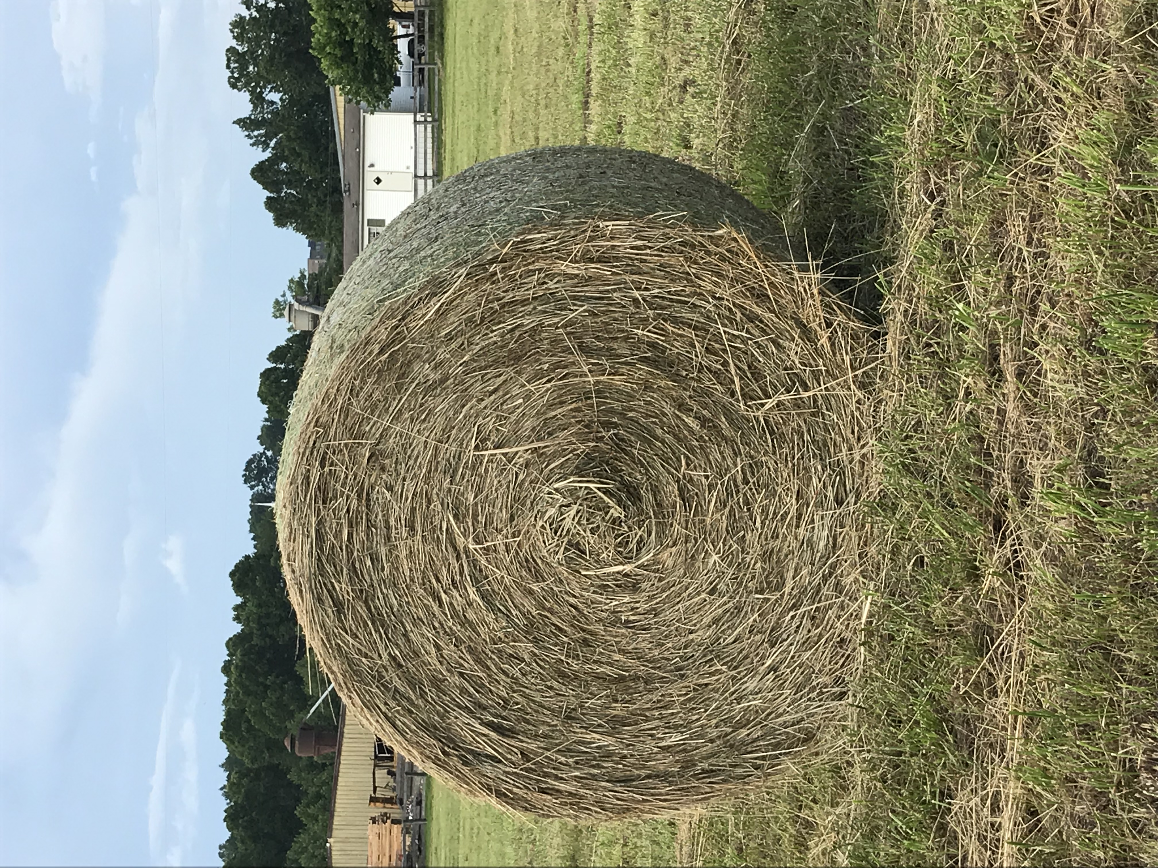 Hay For Sale In Kentucky Hay Map