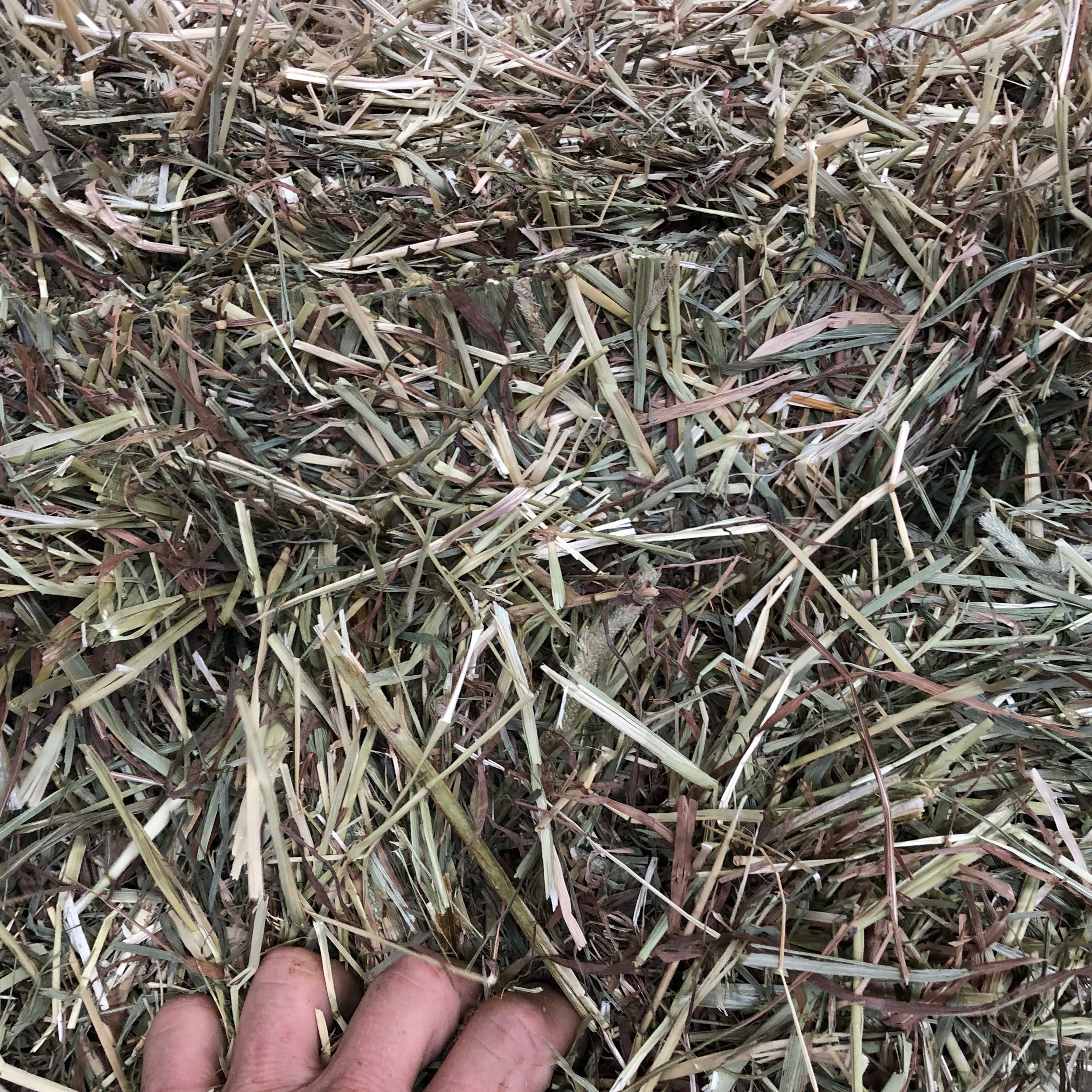 Hay For Sale In Pennsylvania Hay Map
