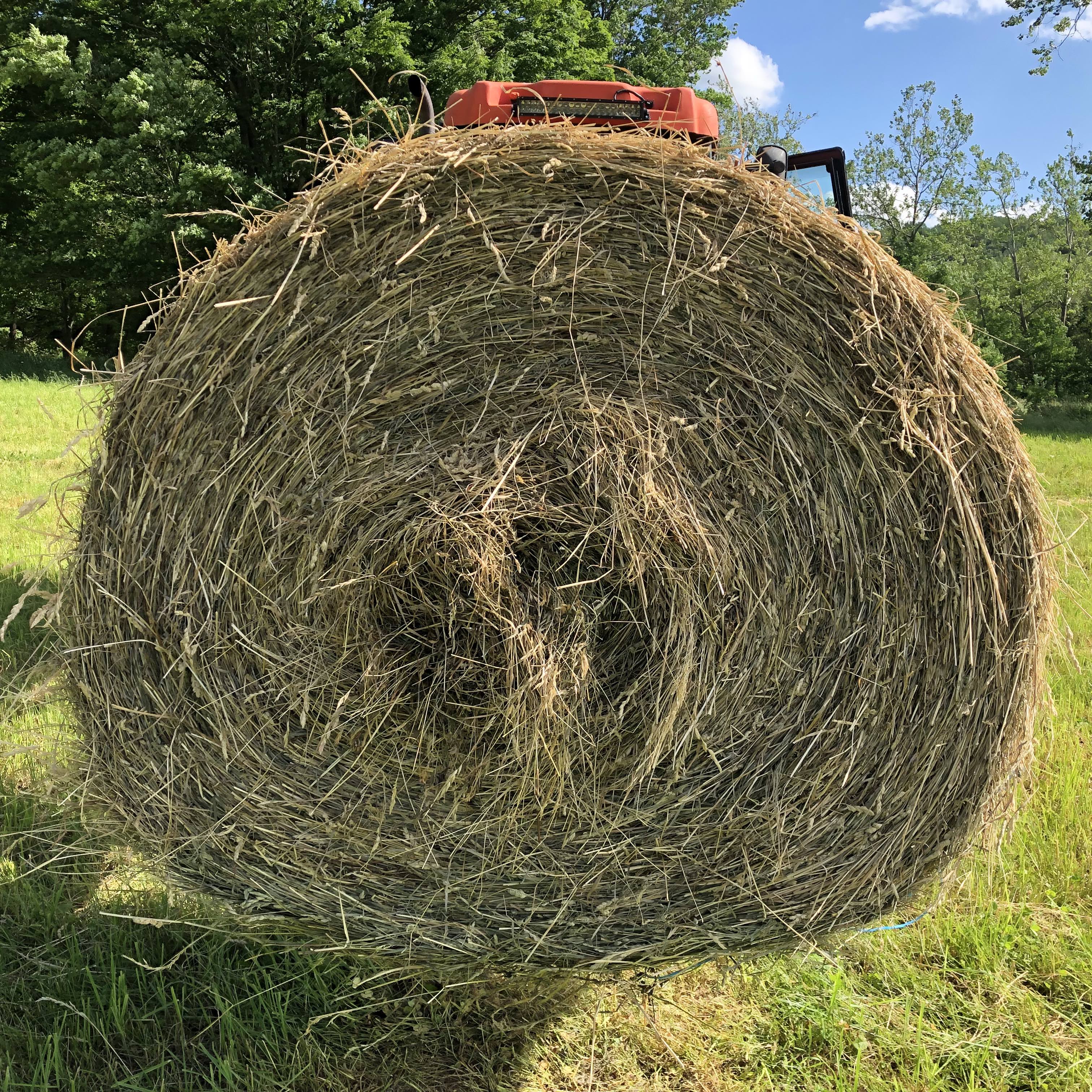 Hay For Sale In Pennsylvania Hay Map