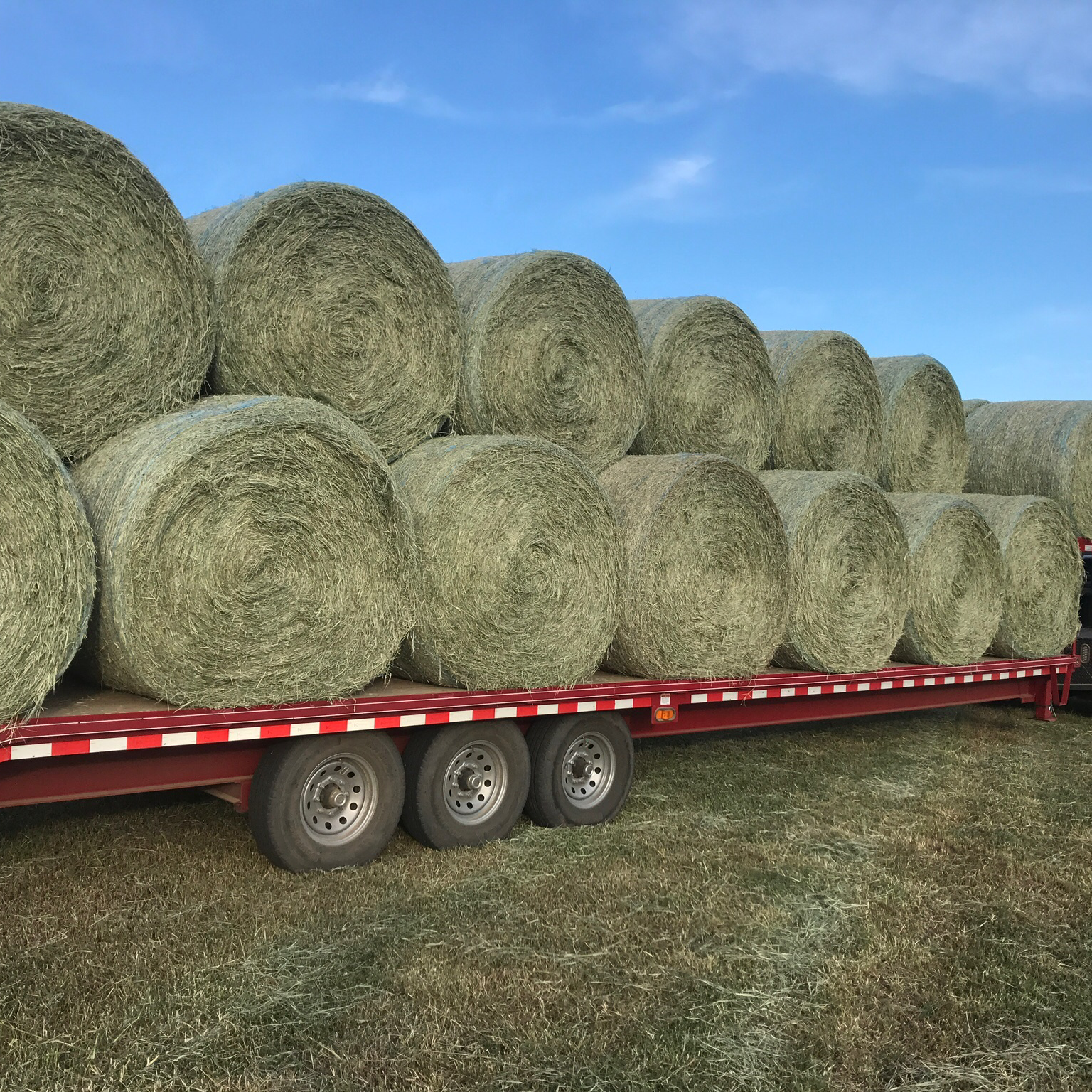Hay For Sale In South Carolina Hay Map