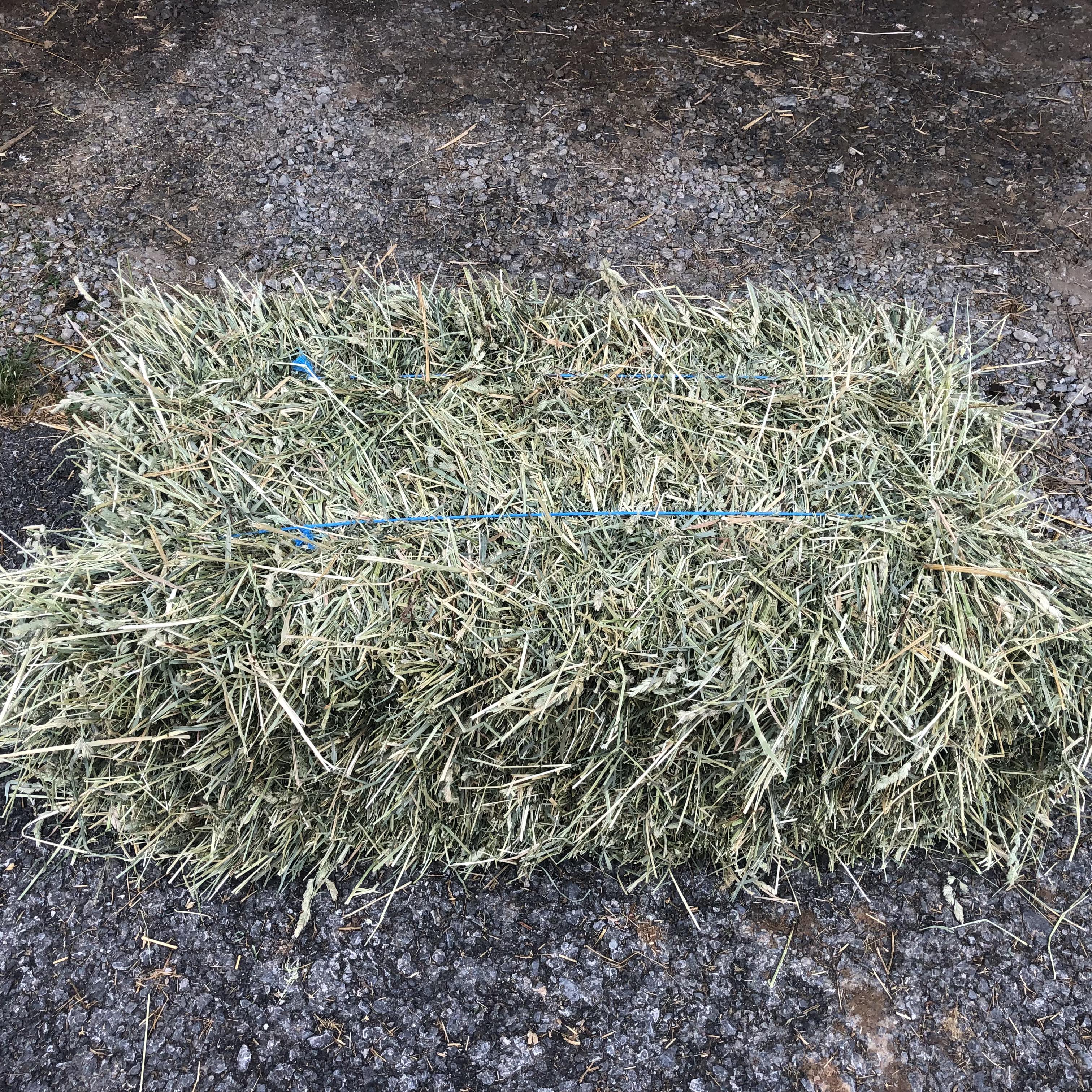 Hay For Sale In Pennsylvania Hay Map