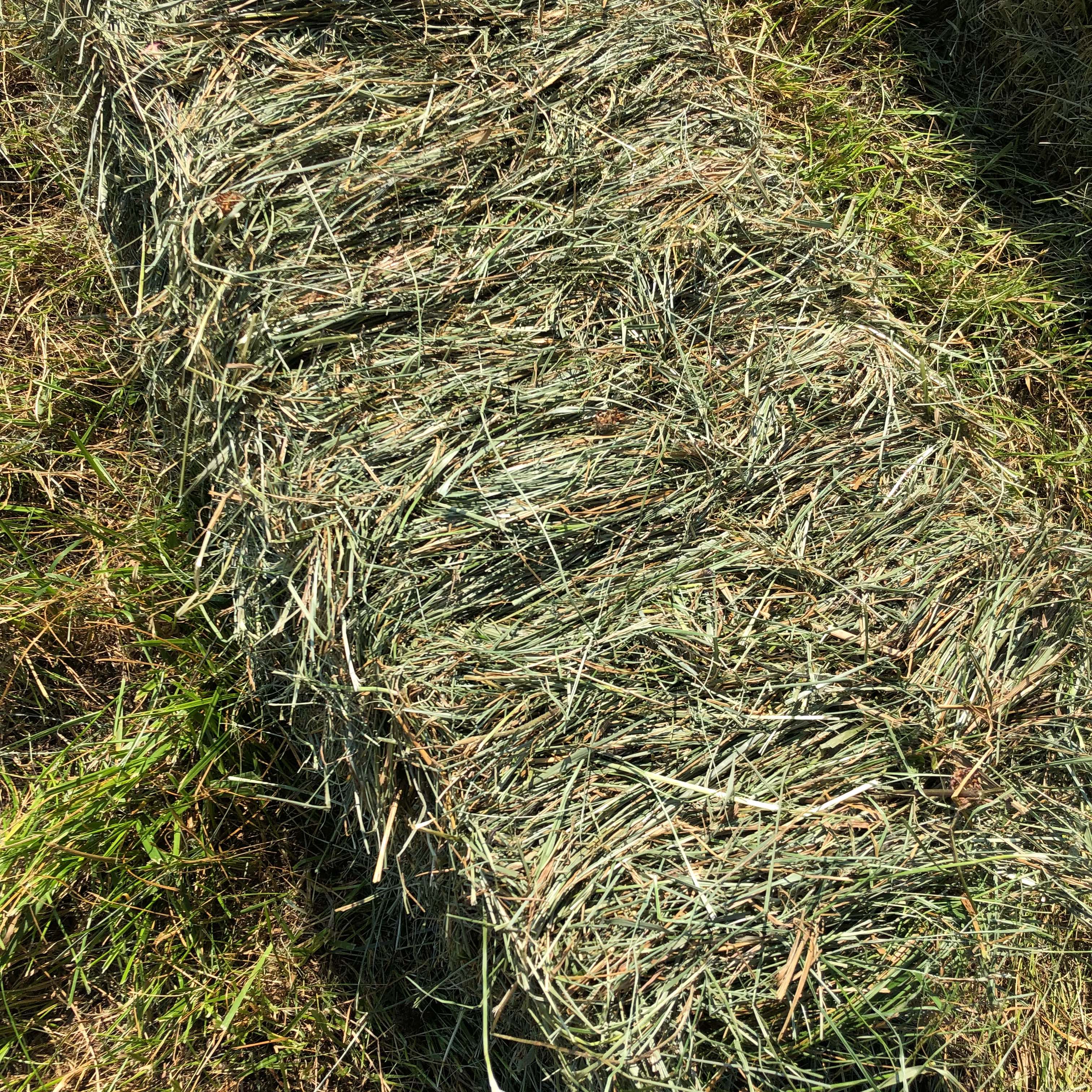 Hay For Sell Hay Map