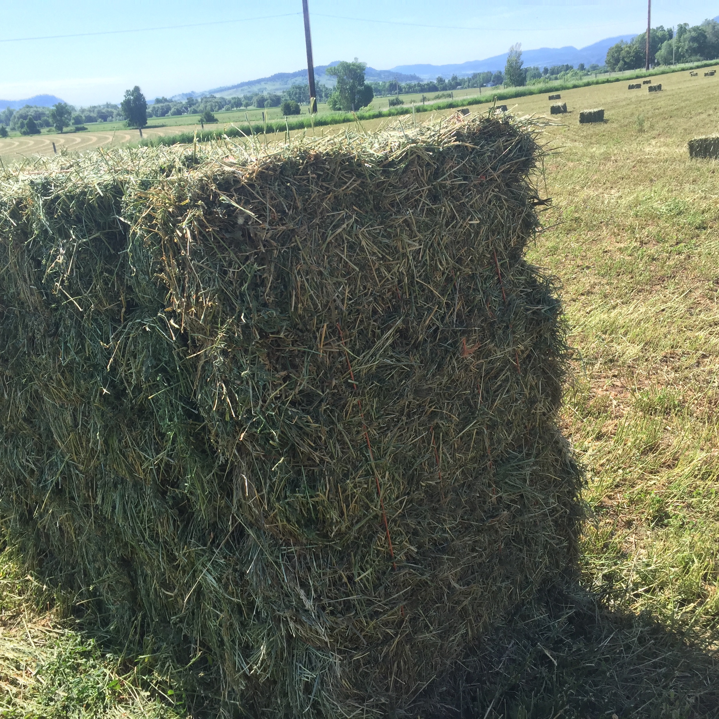 Hay For Sale In South Dakota Hay Map