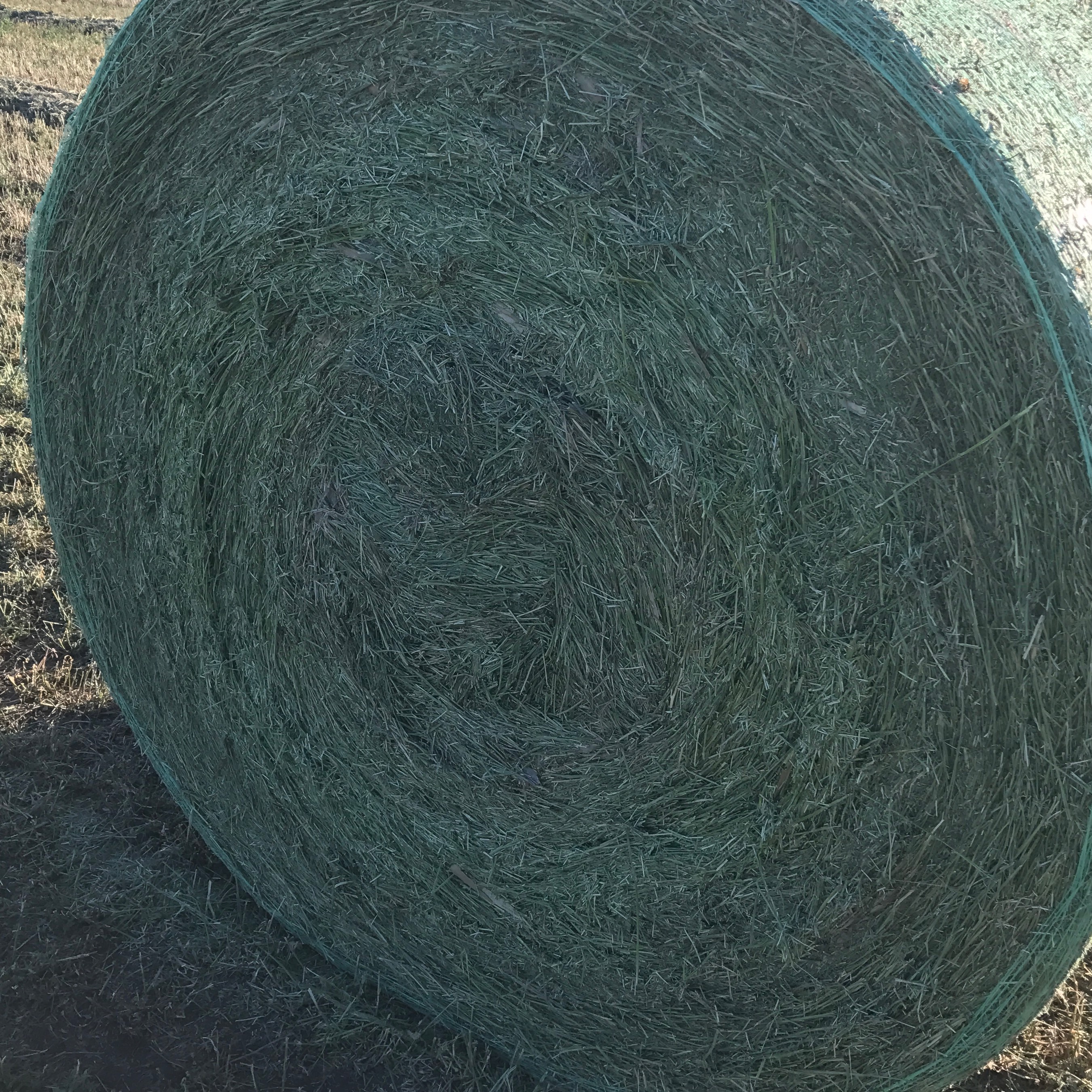 Hay For Sale In South Dakota Hay Map