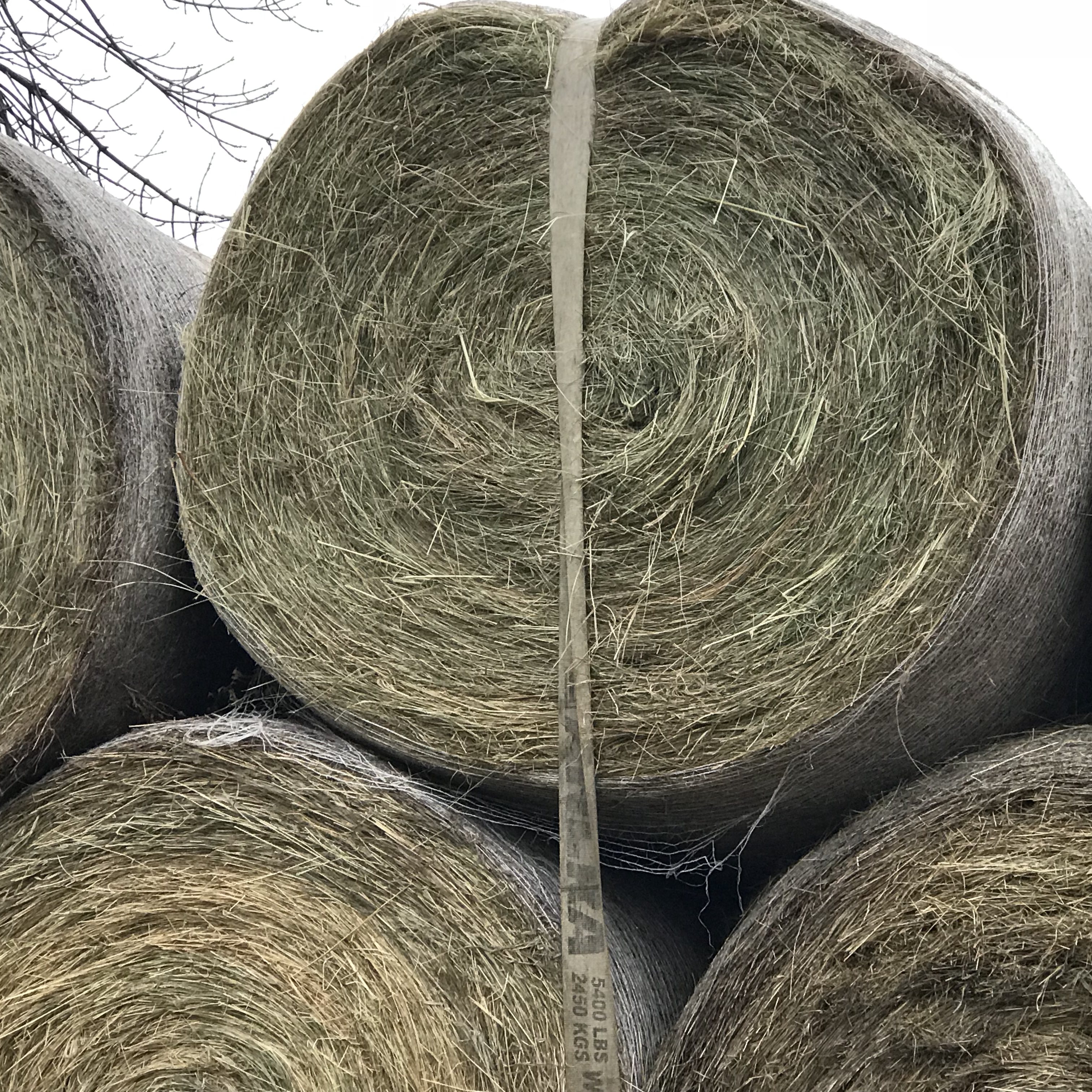 Hay For Sale In South Dakota Hay Map