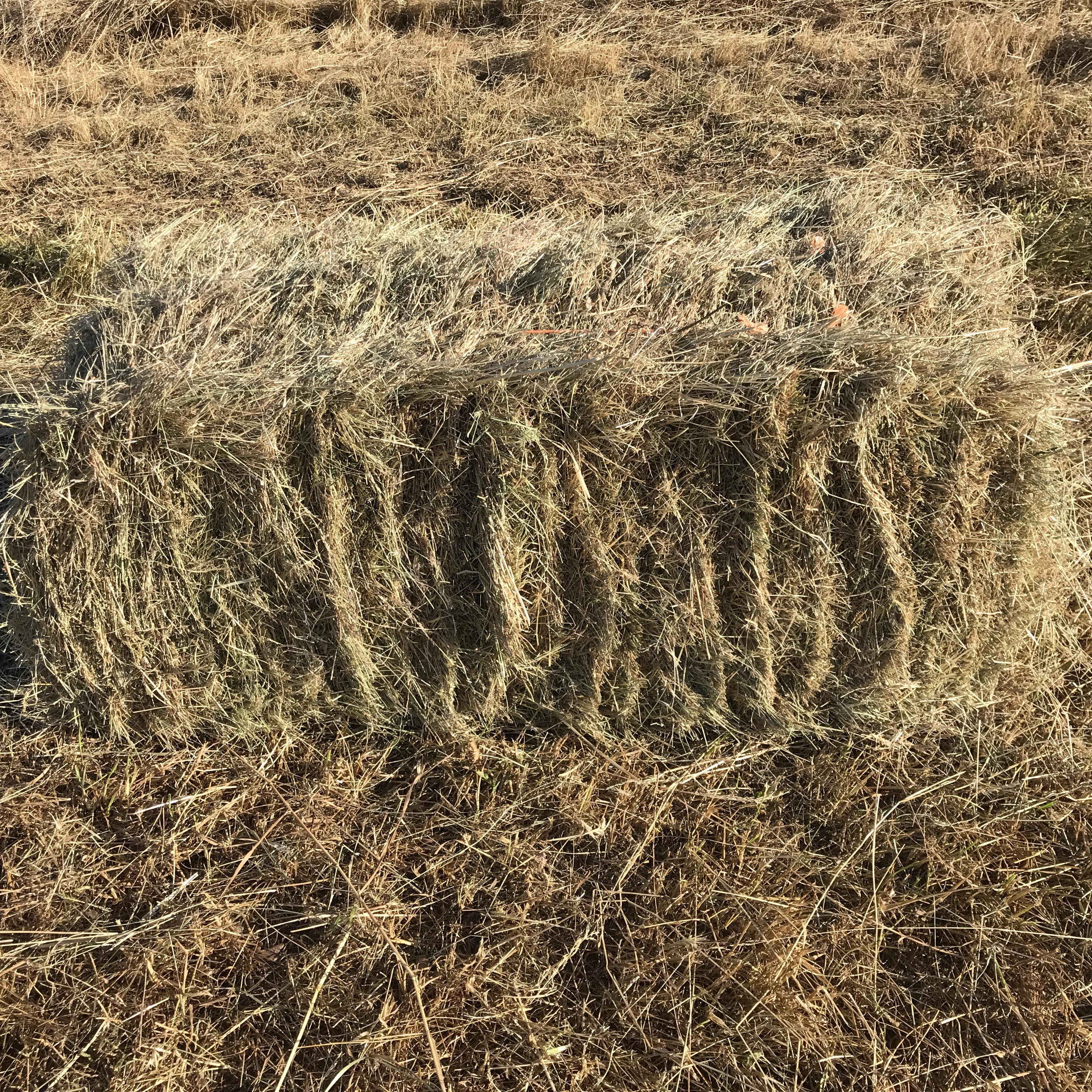 Hay For Sale In Washington Hay Map
