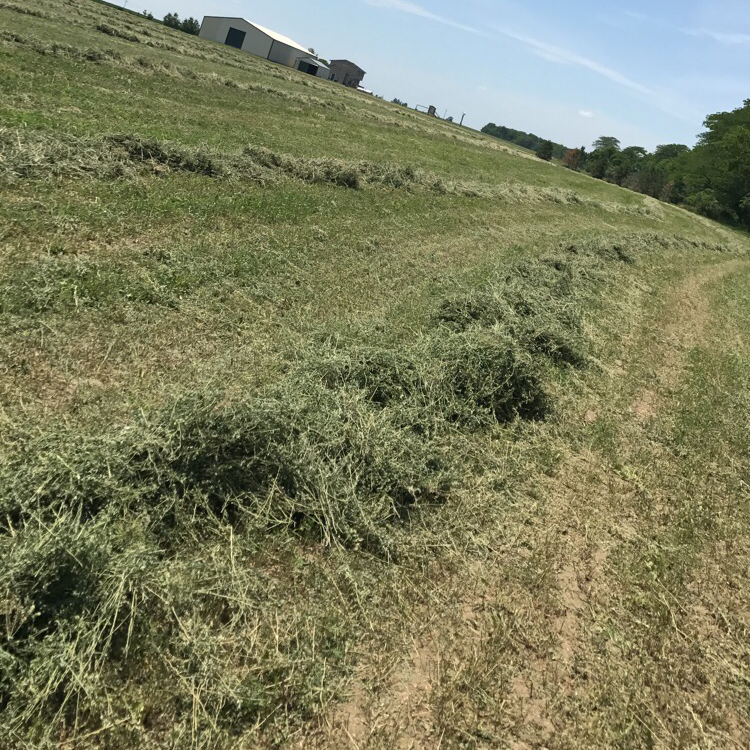 Hay For Sale In Illinois Hay Map
