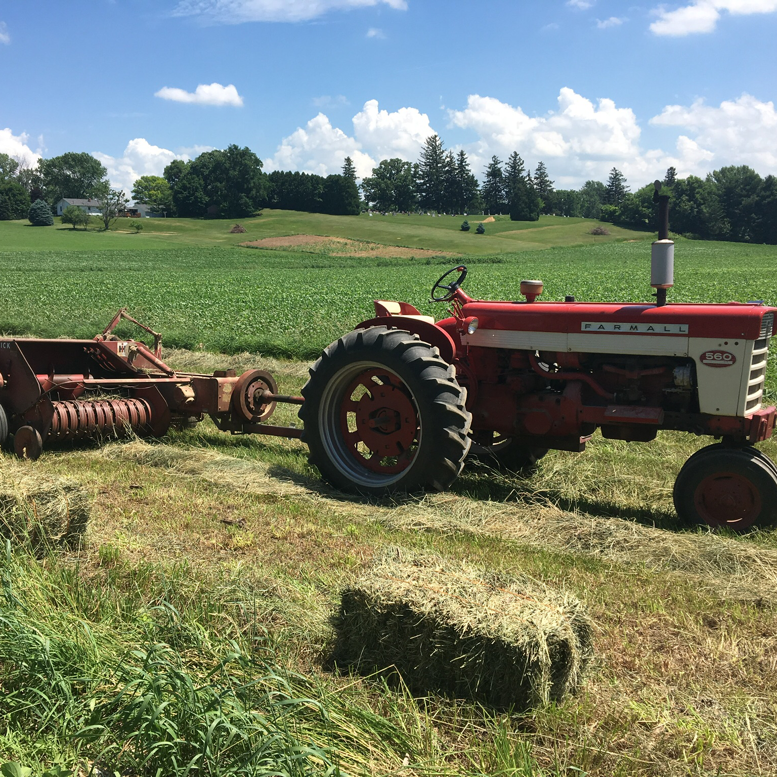Hay For Sale In Illinois Hay Map